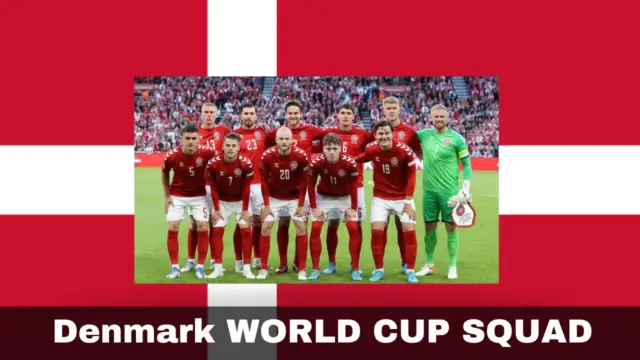 Denmark Potential Squad 5 Best Denmark Players in World Cup 2022