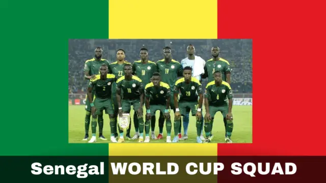 Senegal Potential Squad 5 Best Senegal Players in World Cup 2022